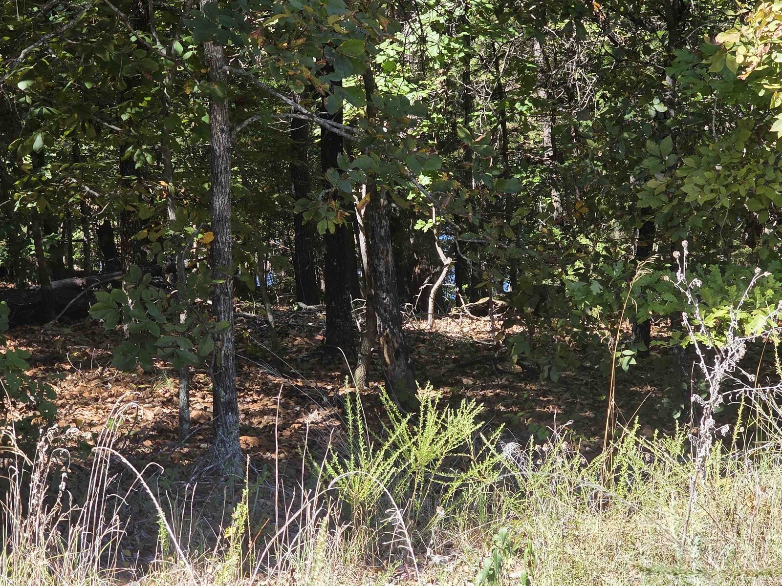 Property Photo:  L-78, B-2 San Juan Trail  AR 72529 