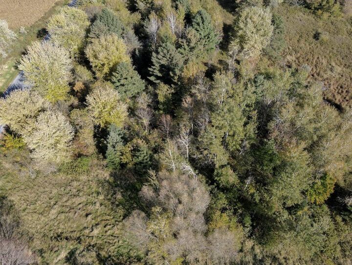 Property Photo:  2.74 Acres Stettin Drive  WI 54448 