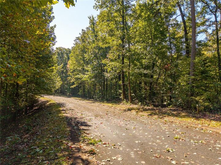 Property Photo:  Lot 22 Abbott Mill  GA 30540 