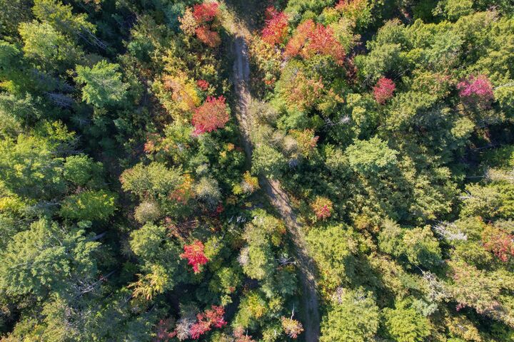 Property Photo:  Lot #28 Mariaville  Road  ME 04605 