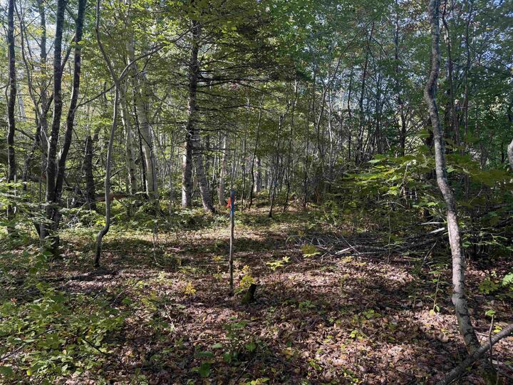 Property Photo:  Oregon Road  NS B0E 1B0 