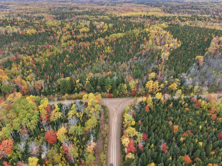 Property Photo:  100 Acres Mitchell Swan Road  NS B0K 1V0 