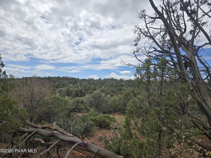 MLS#1085686: 268 S Scorpion Road, Ash Fork, AZ 86320