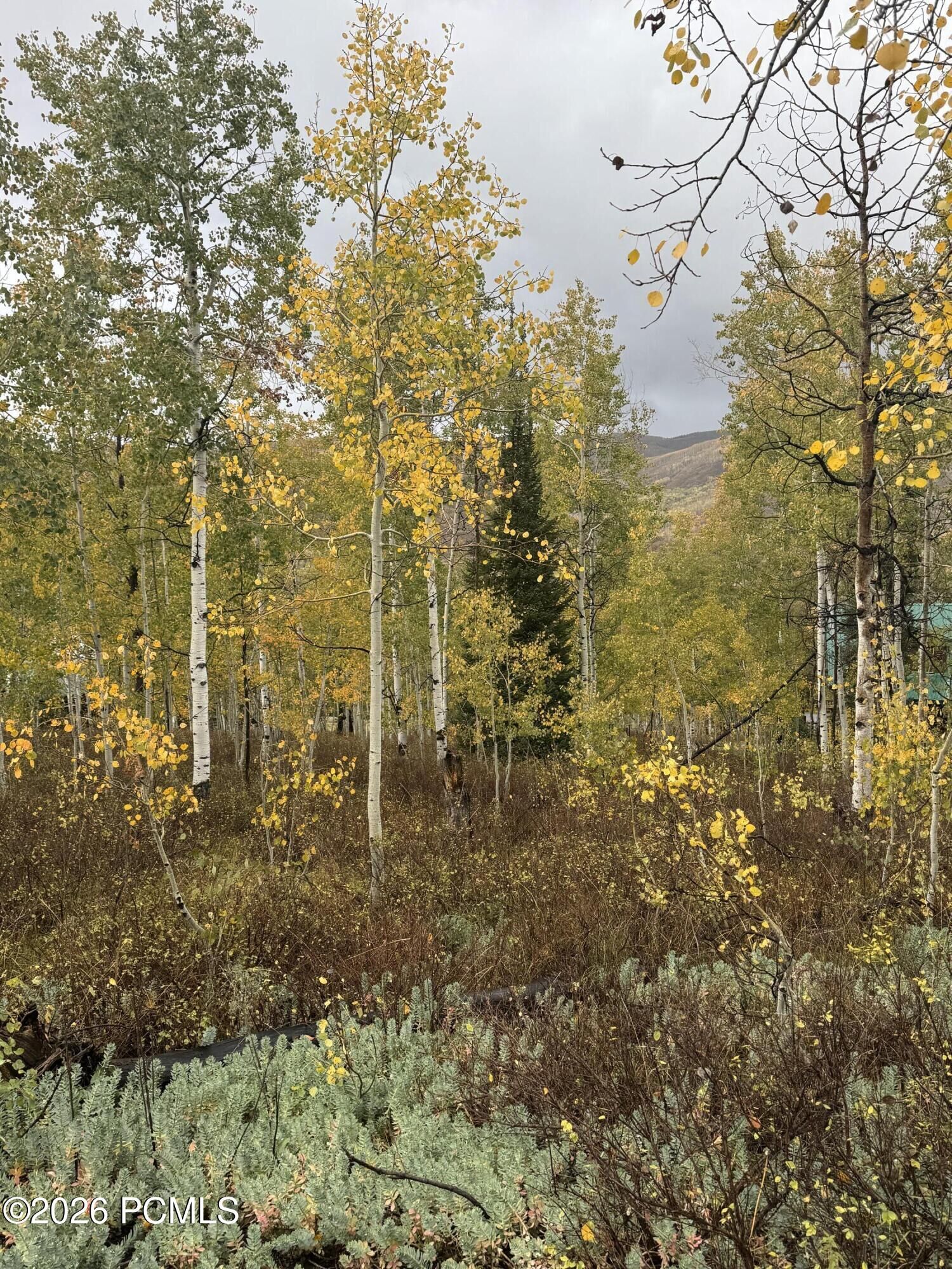 Property Photo: 5699 E Targhee Drive 356 UT 84055