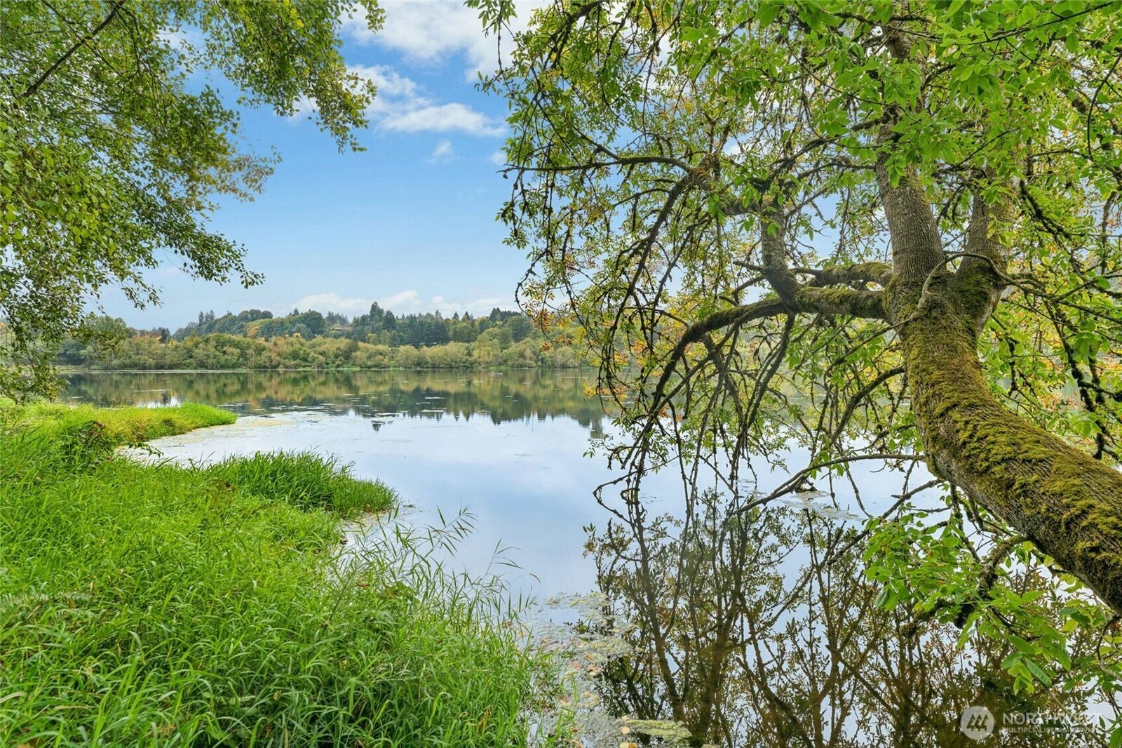 Property Photo: 315 24 Avenue SW WA 98501