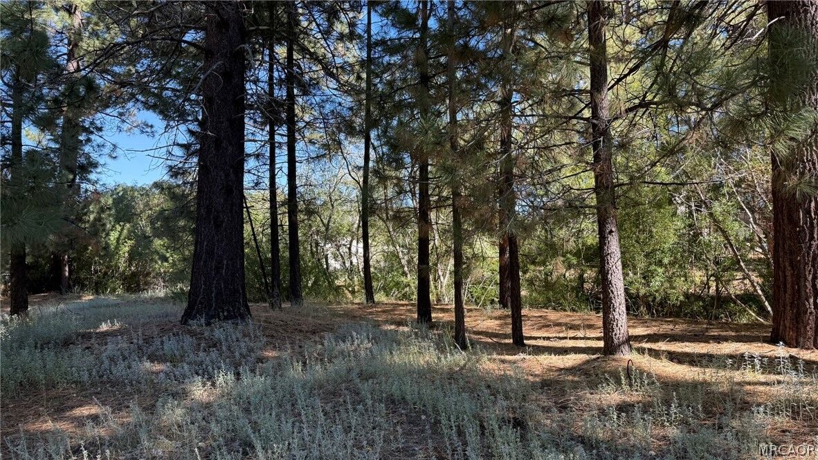 Property Photo:  776 Knickerbocker Road  CA 92315 