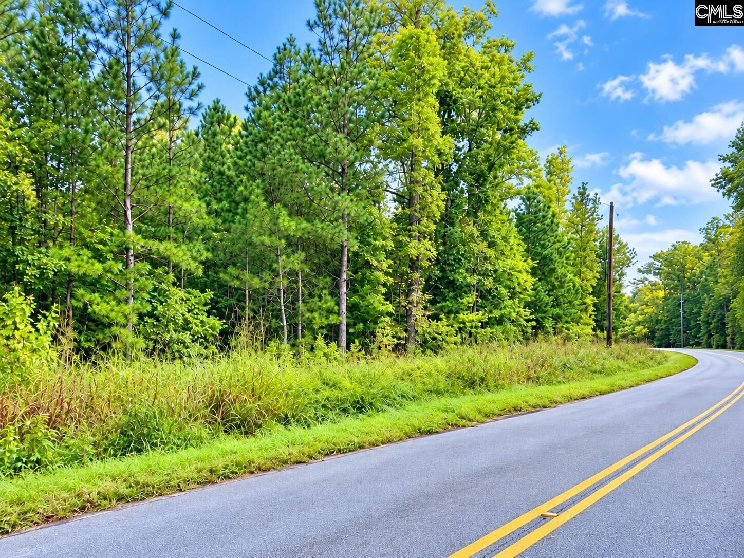 Property Photo: 667 Counts SC 29127