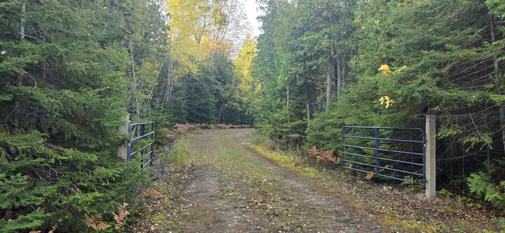 Property Photo:  18754 E M-134  MI 49725 