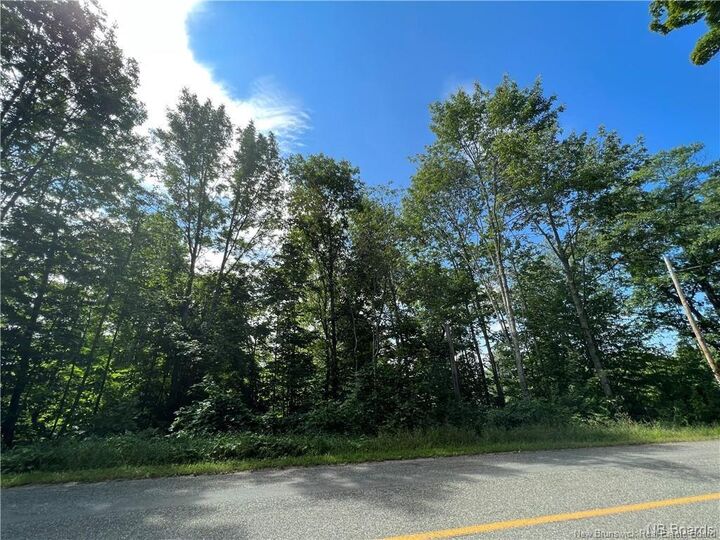 Property Photo:  Vacant Lot 2 Route 105  NB E6L 1K1 