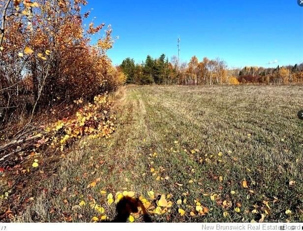 Property Photo:  3 Acres Ch Eustache Hache  NB E8M 1G7 