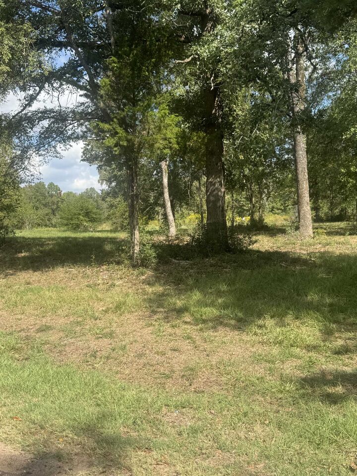 Property Photo: Tbd County Road 175 TX 75643