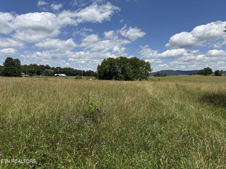 Property Photo:  0 Dogwalk Rd  TN 38543 