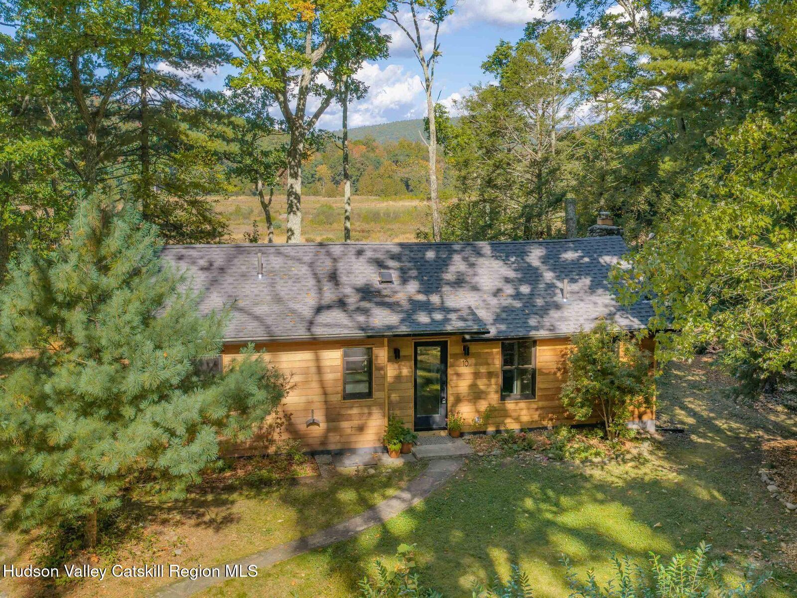 Property Photo: 10 Honk Lake NY 12458