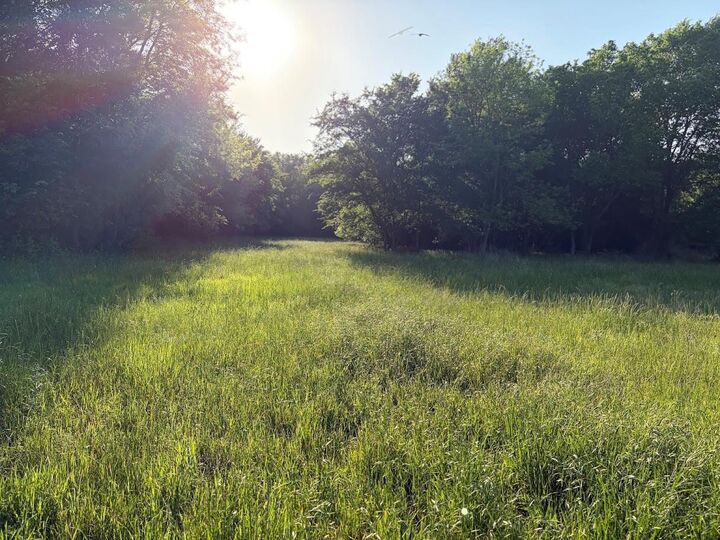 Property Photo:  000 County Road 855  TX 75860 