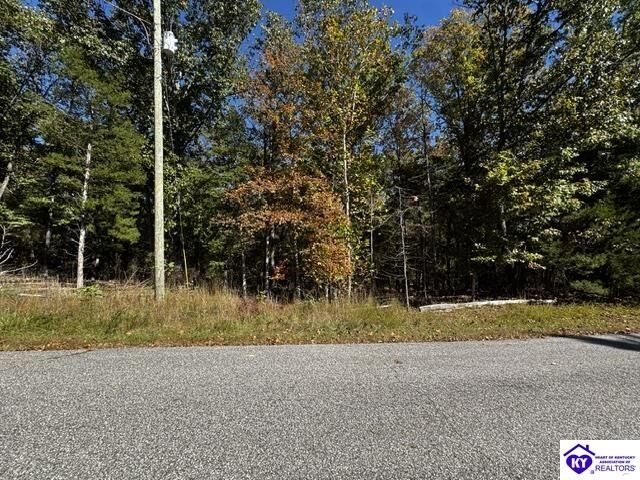 Property Photo:  Lot 99 Waxwing Road  KY 40108 