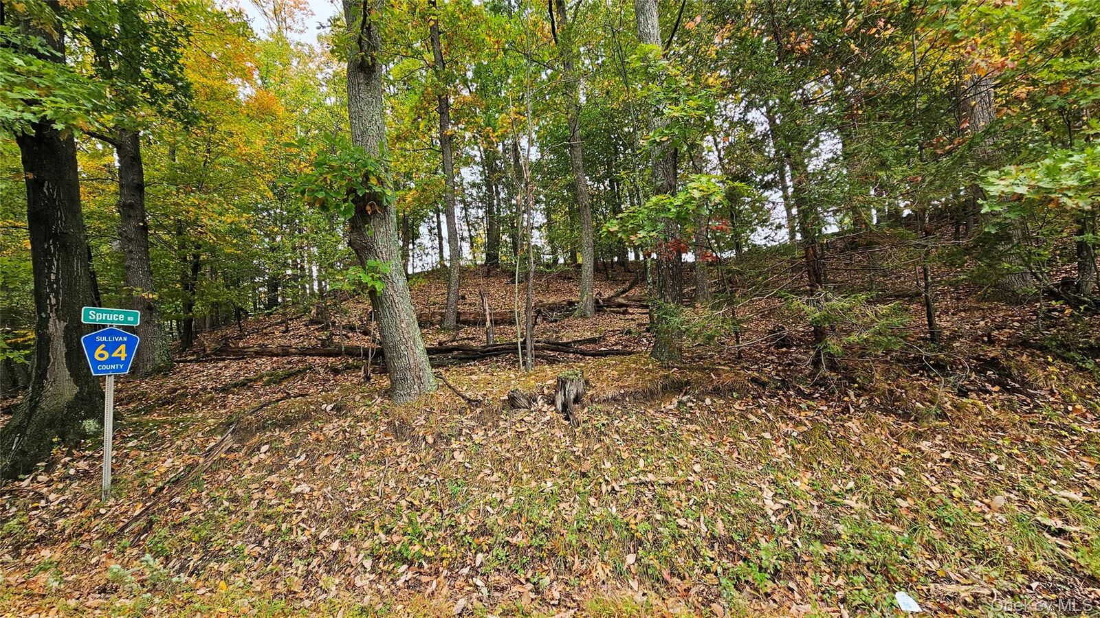 Property Photo:  X Spruce Road  NY 10940 