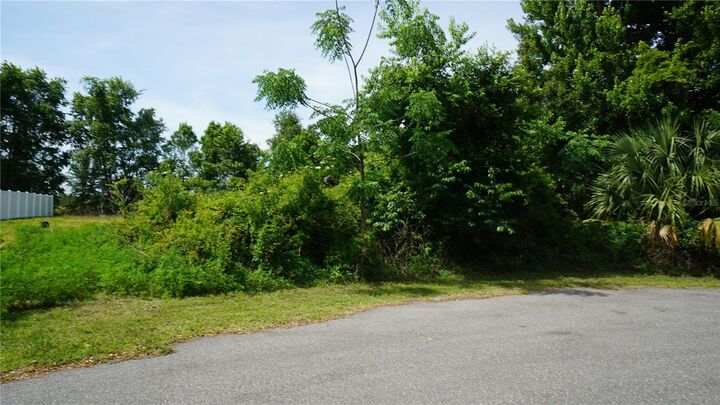 Property Photo:  Marilyn Avenue  FL 34737 