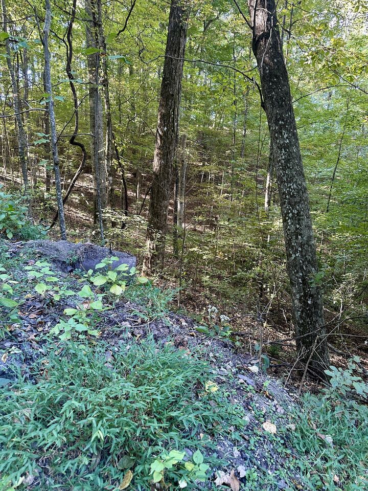 Property Photo:  0 Lakeside Dr  TN 37166 