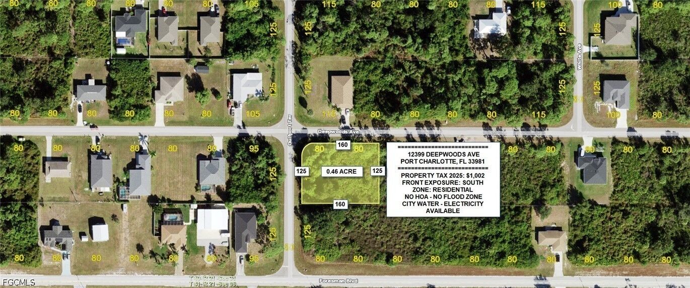 Property Photo:  12399 Deepwoods Avenue  FL 33981 