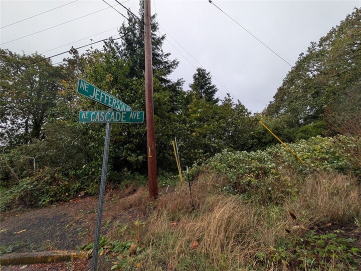 Property Photo:  0 NE Cascade Avenue  WA 98532 