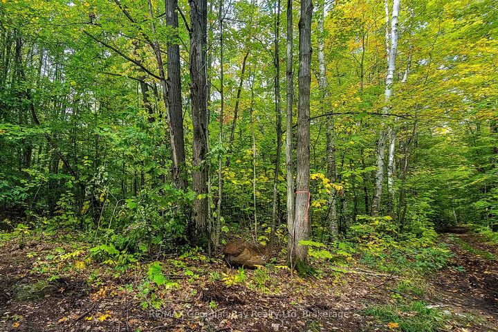 Property Photo:  Lot 18 Conc 19 Road W  ON L9M 2H7 