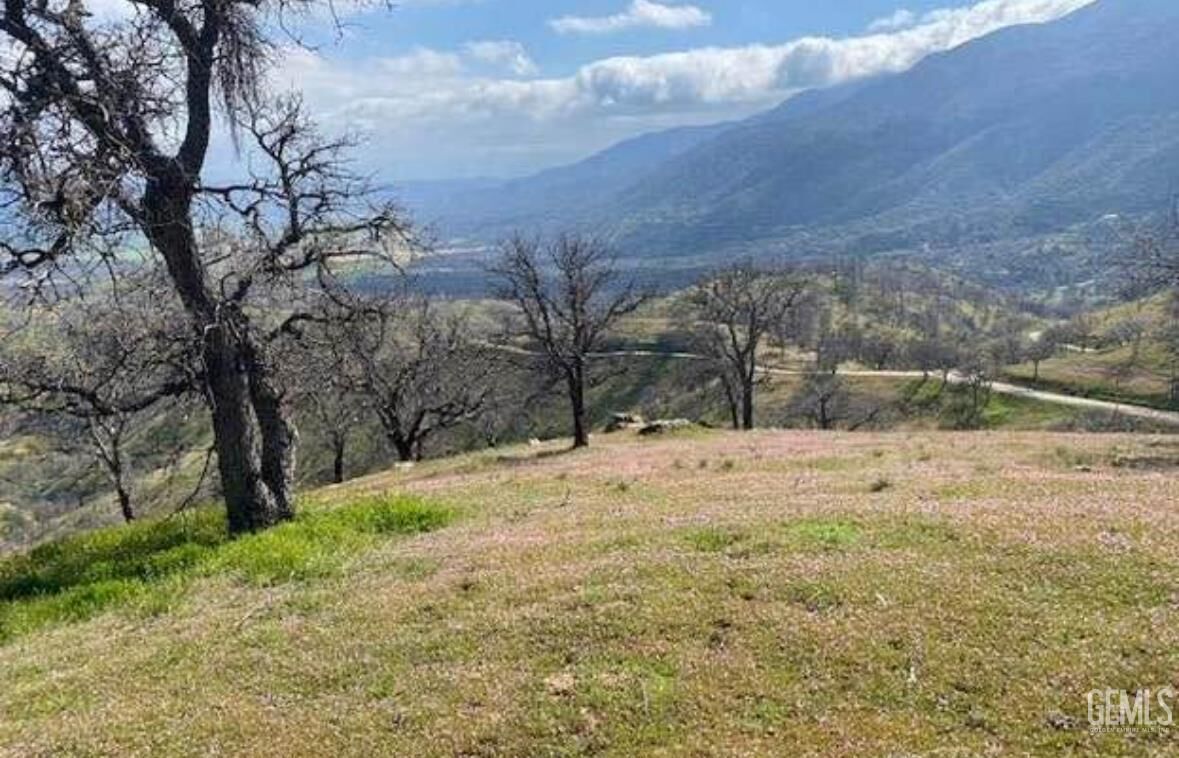 Property Photo: 11212 Back Canyon Road CA 93518