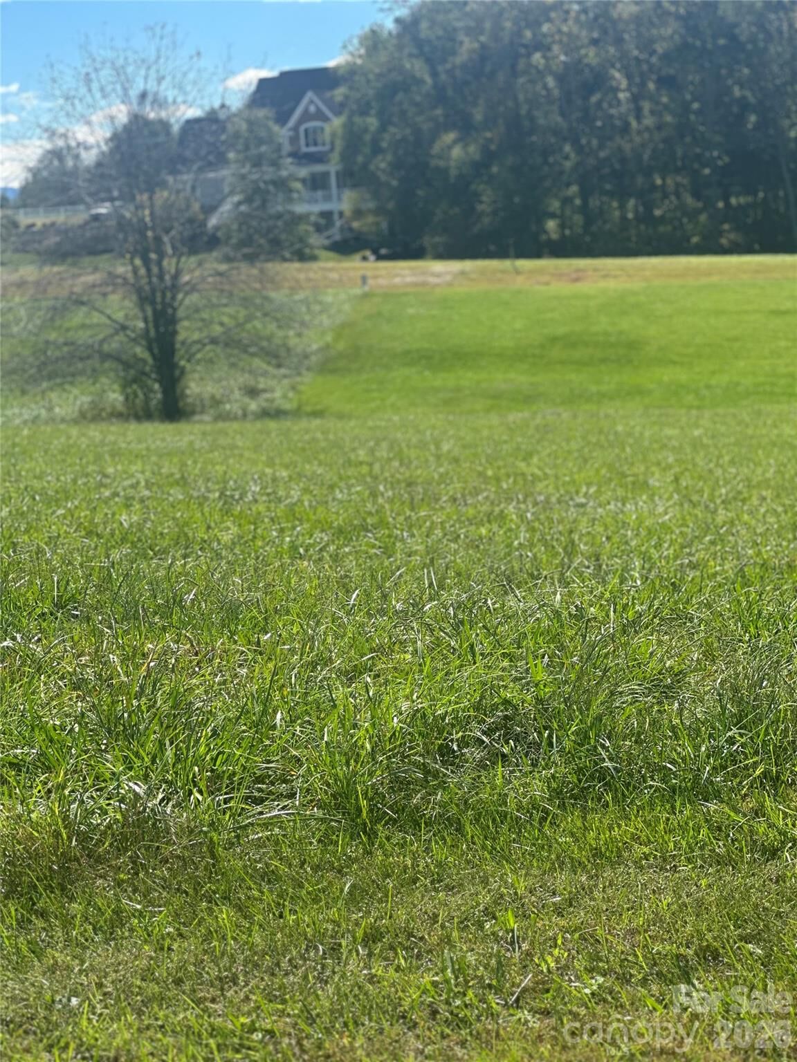 Property Photo: Lot 206 Canterbury Drive NC 28659