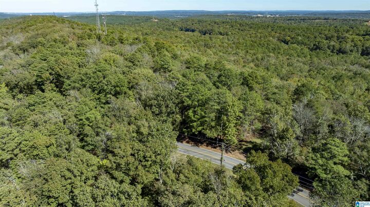 Property Photo: 1130 Lakeside Drive 10 AL 35111
