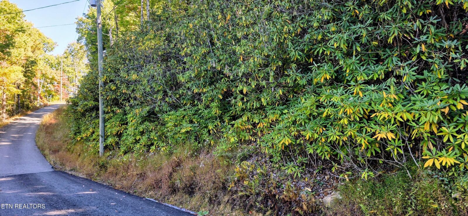Property Photo:  Lot 13 Overholt Tr  TN 37862 