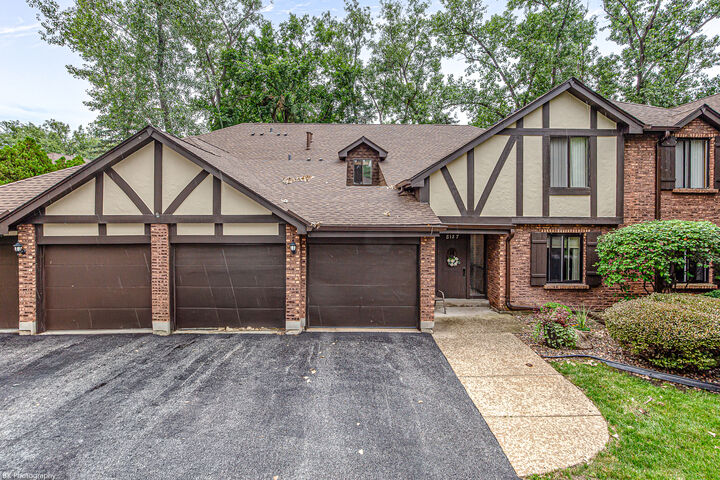 Property Photo:  8127 Chestnut Drive 58C  IL 60465 