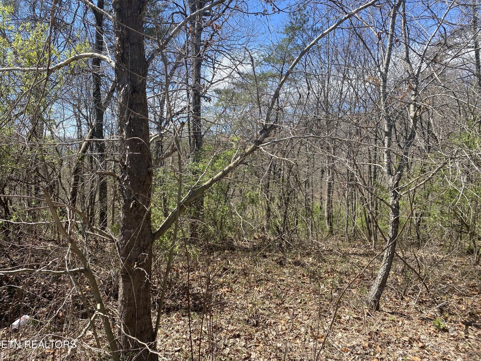 Property Photo:  6 Hwy 127 North  TN 38555 