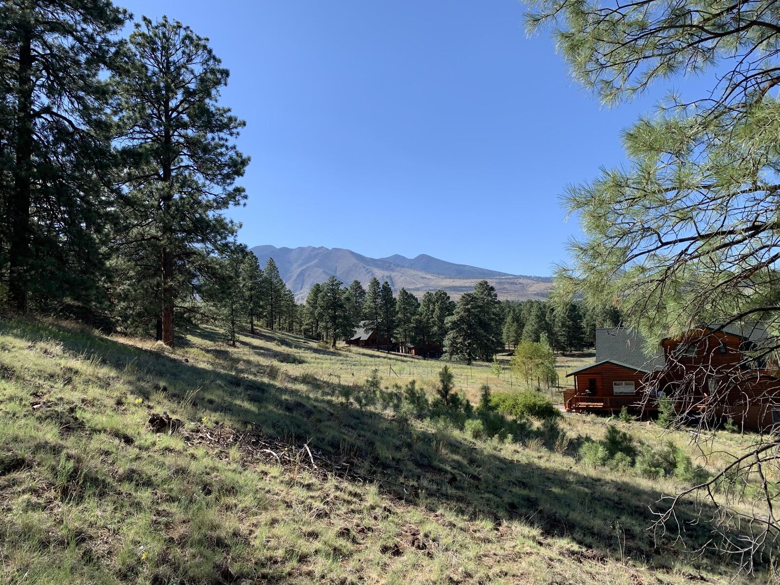 Property Photo: 11668 N Rope Arabian Road 1 AZ 86004