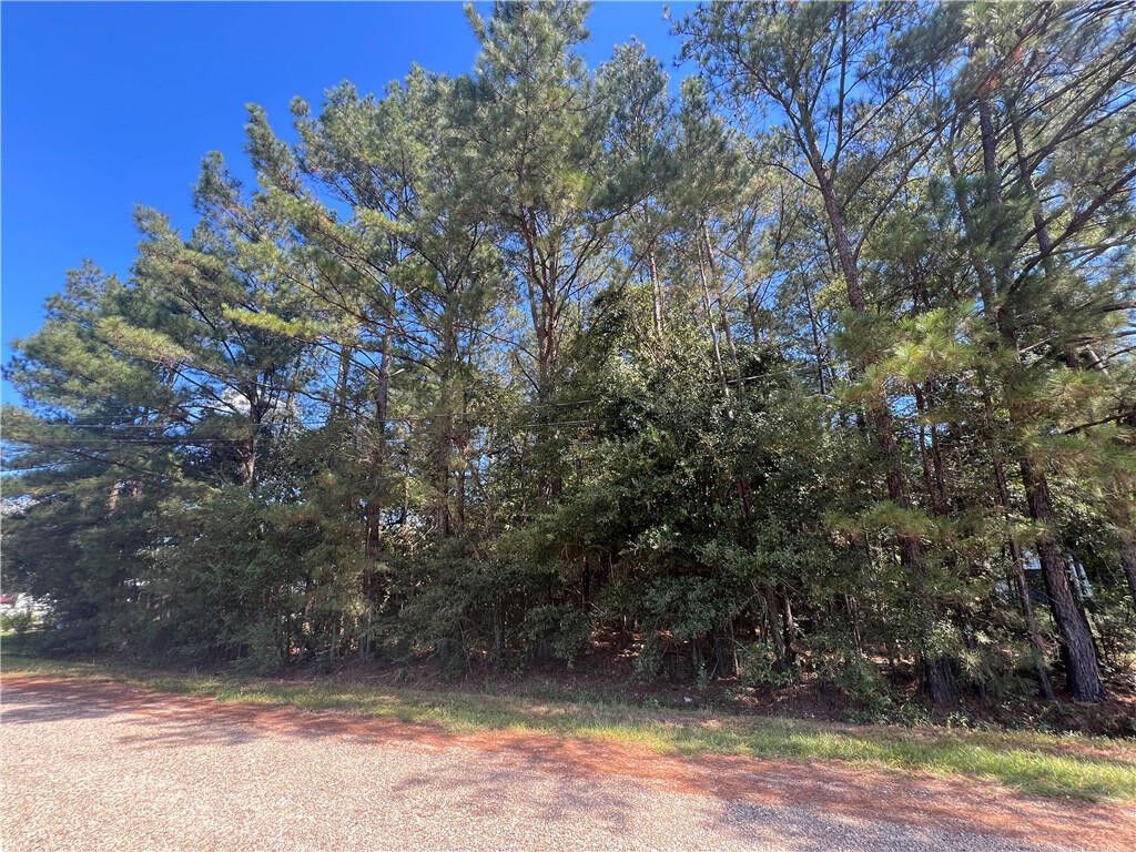 Property Photo:  Lot 10 Caillier Road  LA 70454 