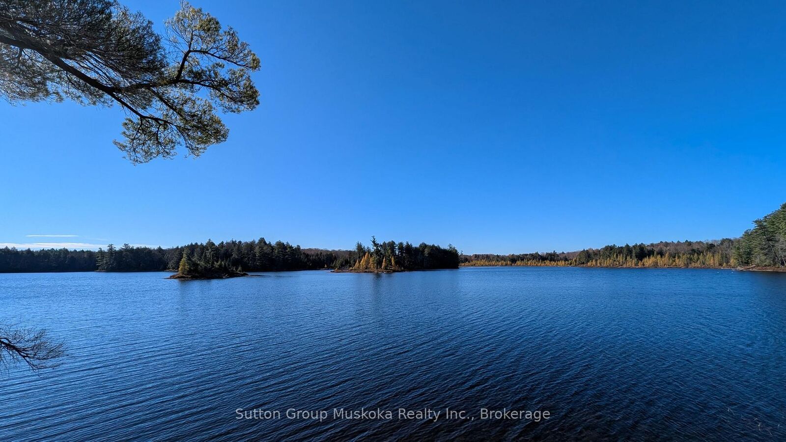 Property Photo:  1448 Limberlost Road  ON P0A 1H0 
