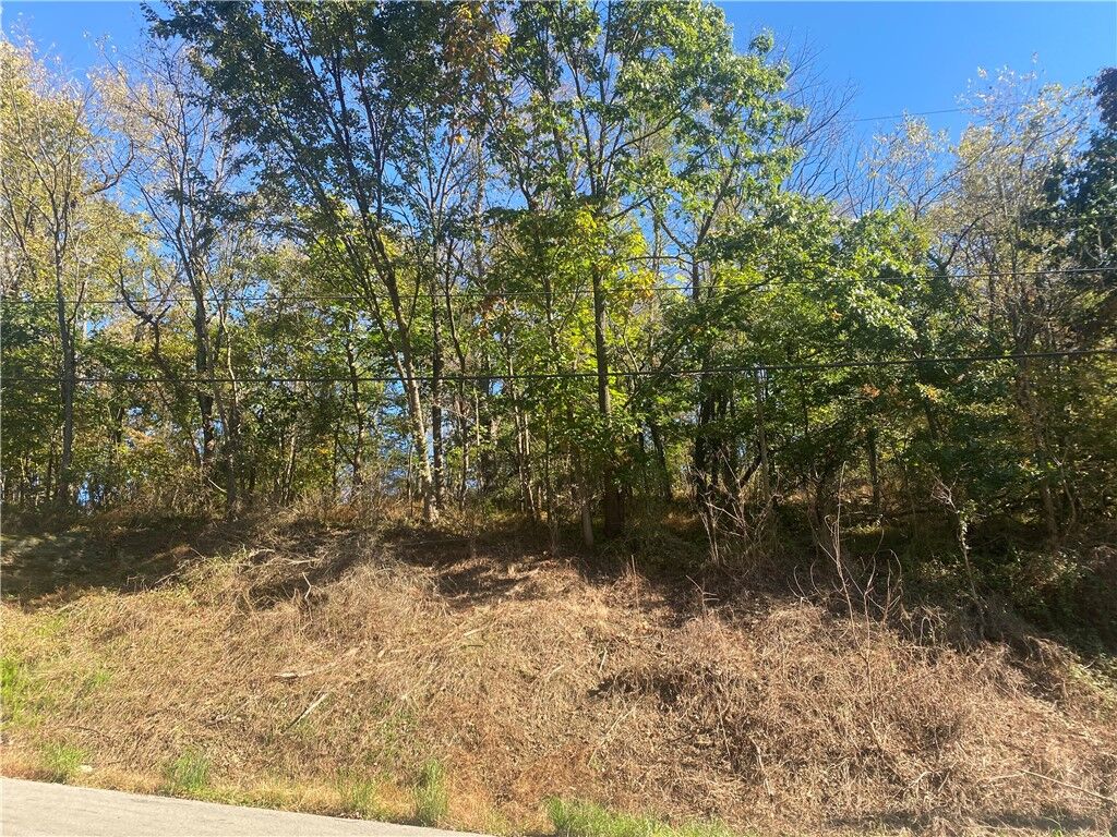Property Photo:  0 Harriet Street  PA 15644 