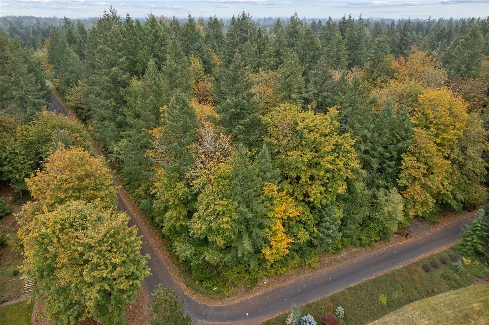 Property Photo: 4527 79th Avenue SW WA 98512
