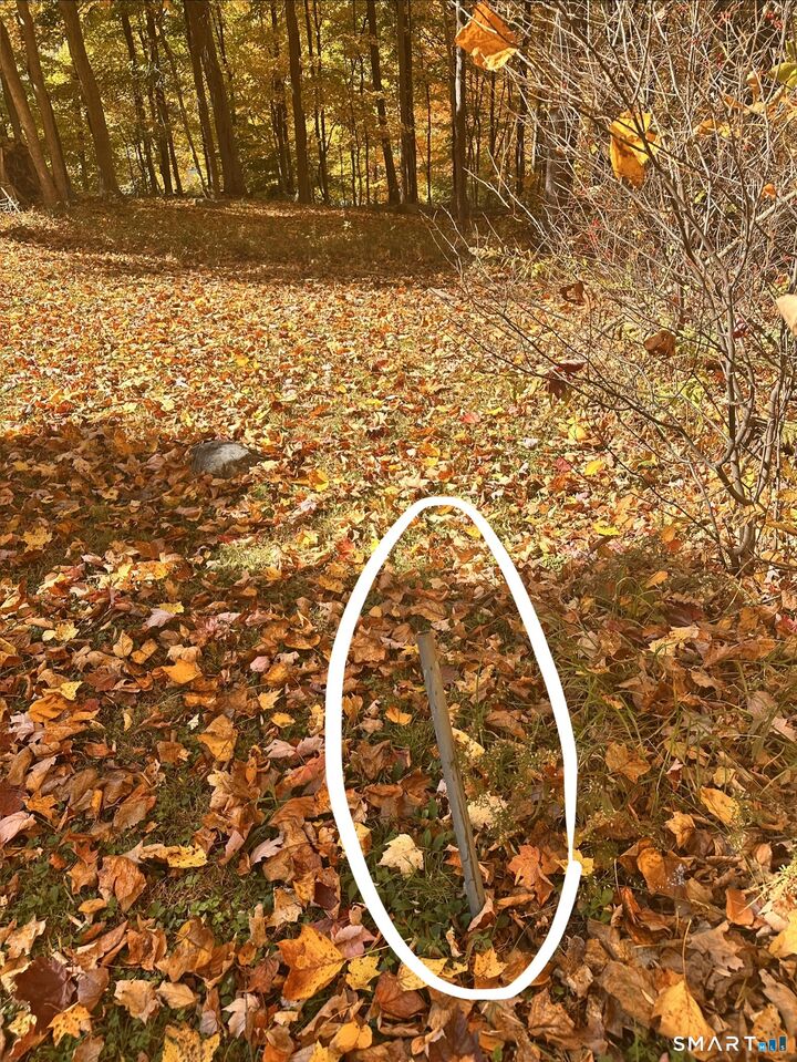 Property Photo: Juniper Drive CT 06776