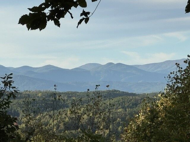 Property Photo: 543 Cliffs Vista Parkway SC 29682