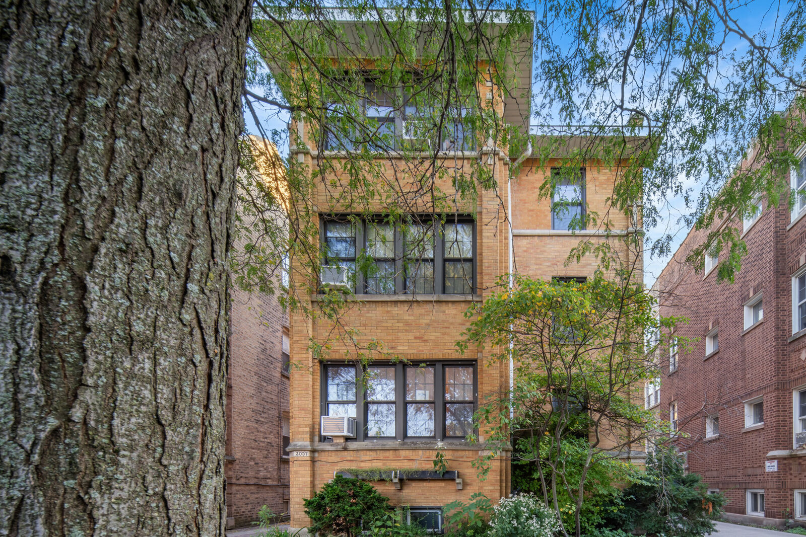 Property Photo: 2037 W Morse Avenue 1 IL 60645