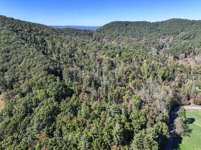 Property Photo:  Tract 1 Shoal Creek Road  NC 28906 