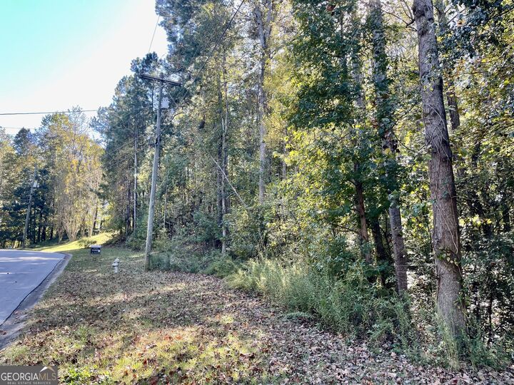 Property Photo: 237 Emerald Pines Drive GA 30157
