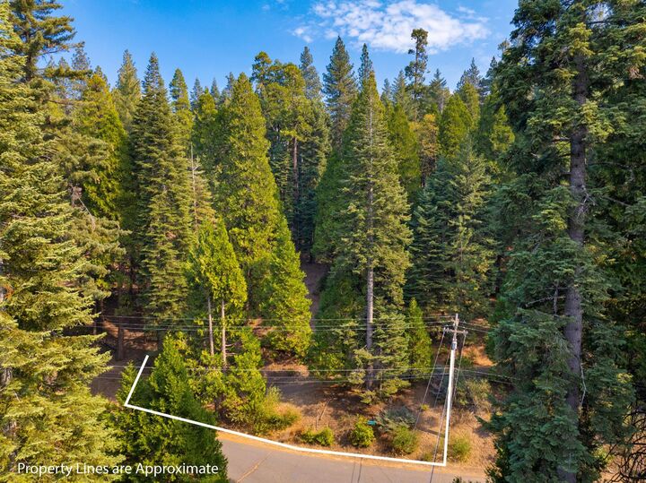 Property Photo:  2875 Shoshone Drive  CA 95223 