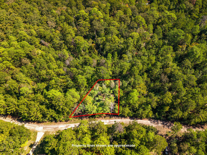 Property Photo:  Lot 139 Deergrass Drive  TX 75931 