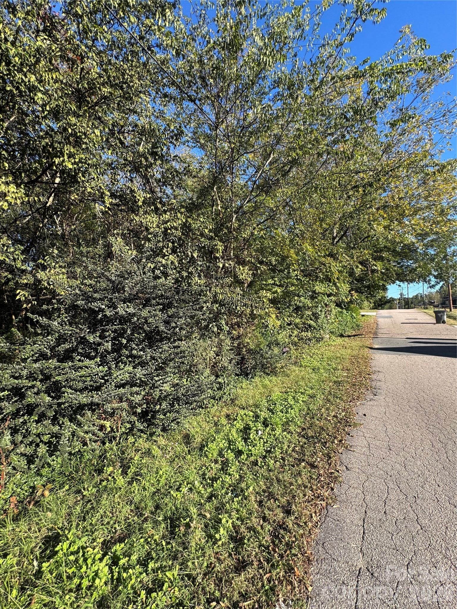 Property Photo: 0000 Skyland Street NC 28083