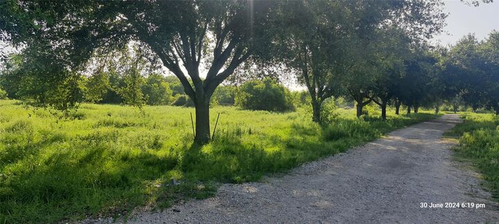 Property Photo: 28828 Fm 1462 Road TX 77430