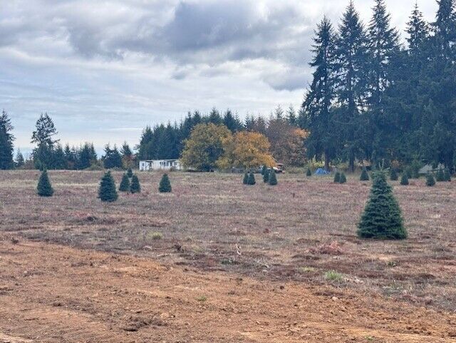 Property Photo:  0  Tennessee Road Lot 1  WA 98596 