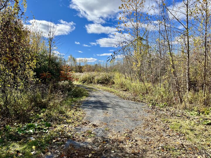Property Photo: 00 Grove Street NY 12944