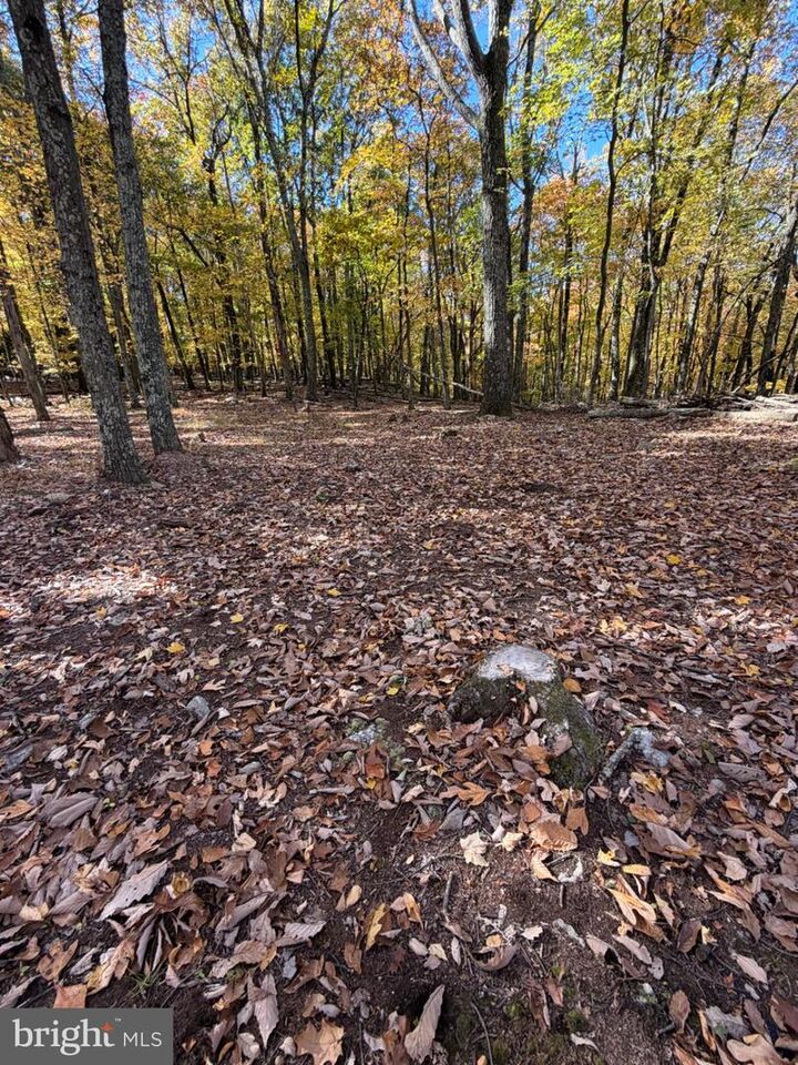 Property Photo: 323 White Face Circle PA 17985