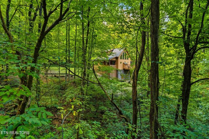 Property Photo: 3163 Sourwood Way TN 37862