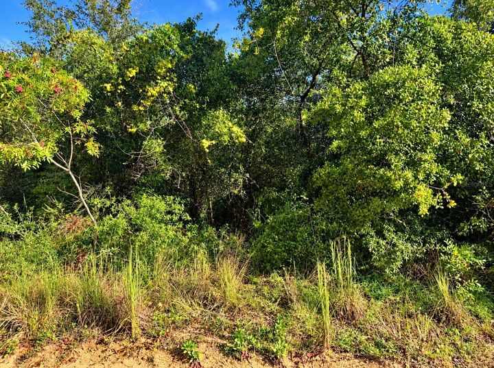 Property Photo:  Tbd NE 133rd Street  FL 32134 